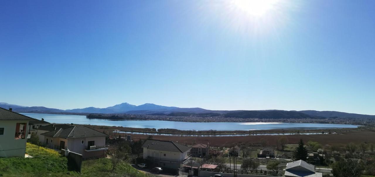 Appartement House With View In Amfithea à Ioannina Extérieur photo